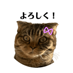 Berrymimilouis_20260215172813