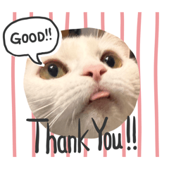 Nuthinun mini_20260216094308