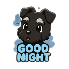 Schnauzer dog V6 Black coat