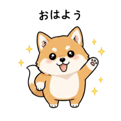 Heartwarming Shiba's Daily Kindness