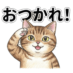 Daily Phrases of the Ginger Cat.