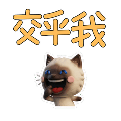 Taiwanese Himalayan Cat 39