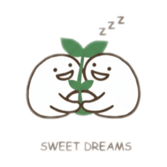 hagukumi_20260213134601