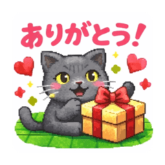 MARUMARU_20260215185351