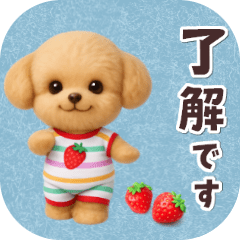 moving /dance/toy poodle