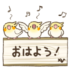 Sweet Signs from a Cockatiel