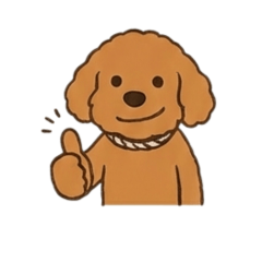 Daisy the Labradoodle.