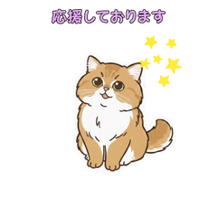 Miracle Persian Girl Aru Daily Life