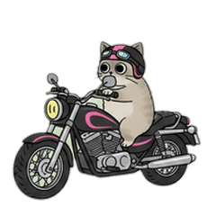 Daily Cat Stickers 1