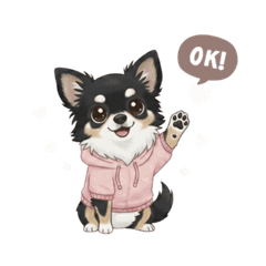 Chihuahua Rui Stickers