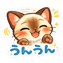 Koyun_20260215204532