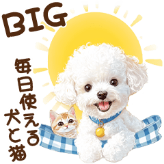 BIG Poodle & Cat Stickers