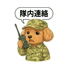 chie_20260215204707