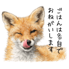 Shika_20260215205215