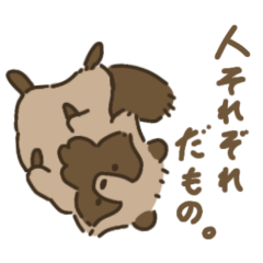 yamada_20260216002831