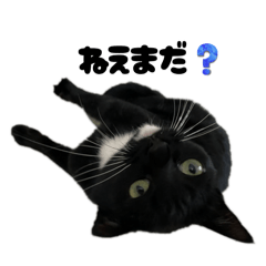 yuzuki_20260216003646