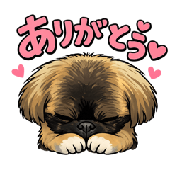 mina_20260216140150