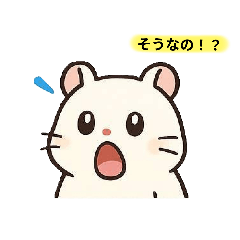 suzu_20260216141020
