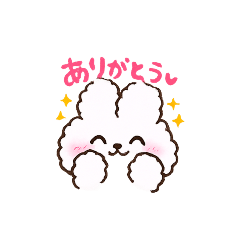 kana_20260215211933