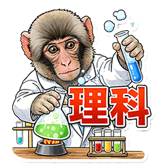 Wildlife Stiker Monkey Collection