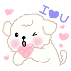 Moongge a cute puppy.(Korean & Japanese)