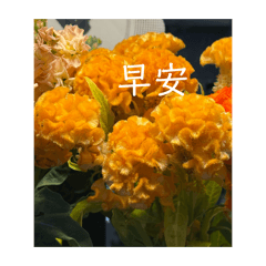 ICHIN_20260215185742