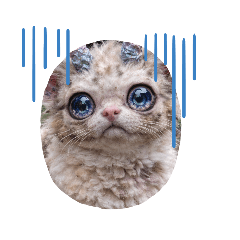 錯頻怪貓的貼圖