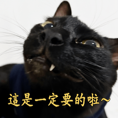 黑貓有夠難拍:死語復興運動篇