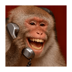 講電話的猴子