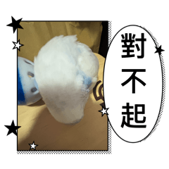 嘎嘎の貼圖！