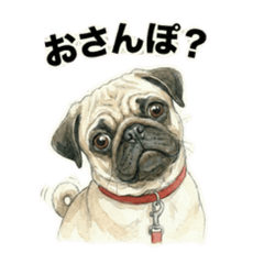 Pug Mocha: Relatable Moments