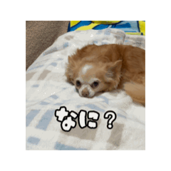 motimotti_20260215234308