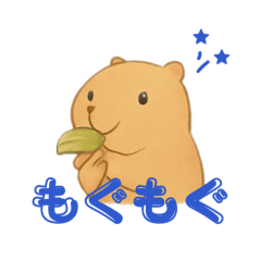 capybalife_20260216003746