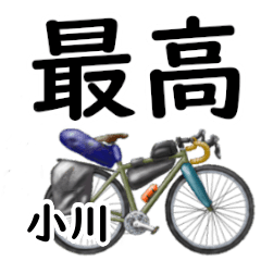 Ogawa'having fun bike