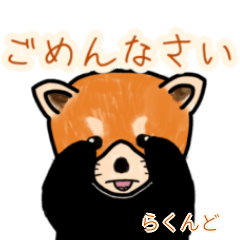 Rakundo's lesser panda