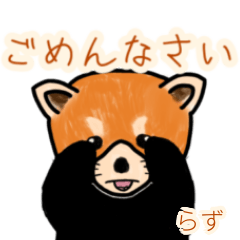 Razu's lesser panda