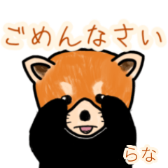 Rana's lesser panda
