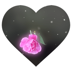 Suitable Photo Gallery