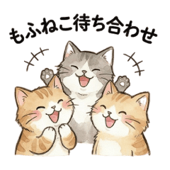 Fluffy Cat Meeting Up