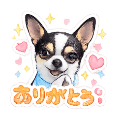 tommie_20260216154222