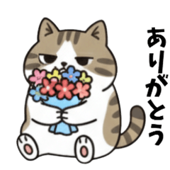 Chill Cat's Heartwarming Stickers