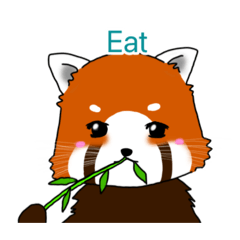 Red panda Orange