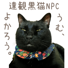 The Wise Black Cat NPC