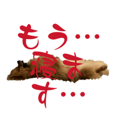 kujira_20260213190158