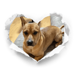 akemi_20260216162724