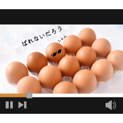 taitai_20260213204601