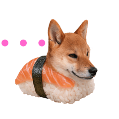 meeei_20260213193855