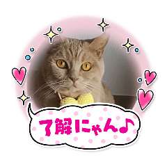 tomomi_20260216105441