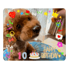 HOSHIMARU_20260216171704