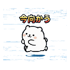 me-raise_20260216232120